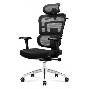 Bürostuhl Mark Adler MA-Expert 4.9 Black