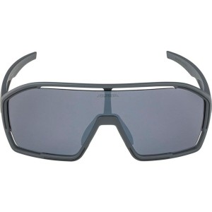 Lunettes de soleil Homme Alpina A8687321