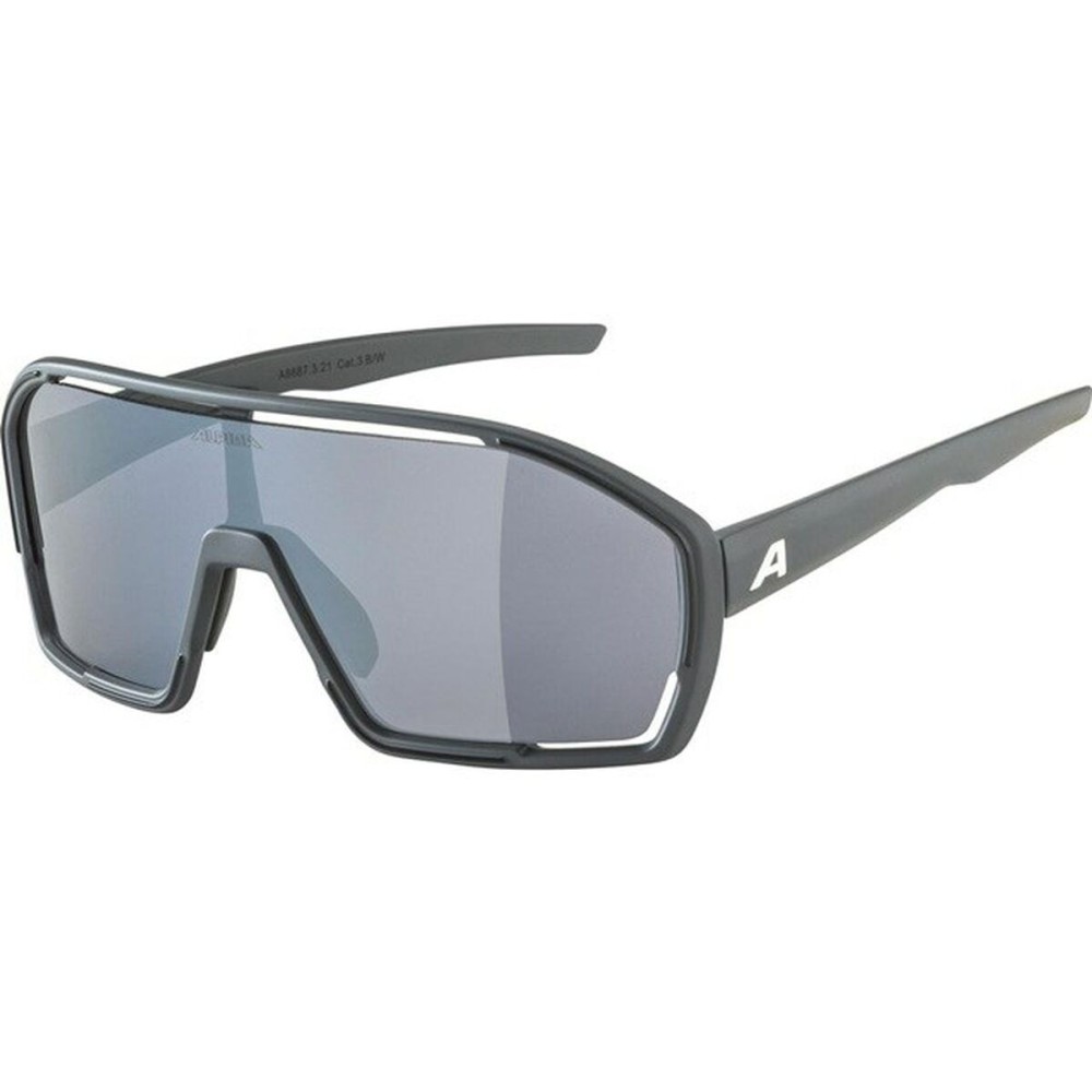 Lunettes de soleil Homme Alpina A8687321