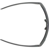 Lunettes de soleil Homme Alpina A8687321