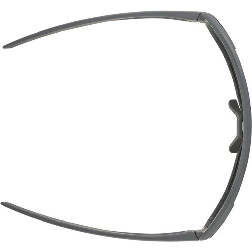 Lunettes de soleil Homme Alpina A8687321