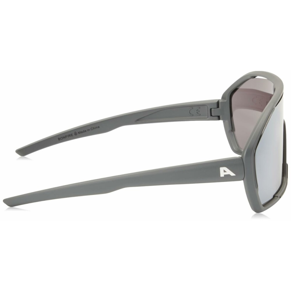 Lunettes de soleil Homme Alpina A8687321