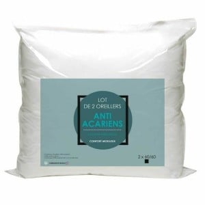 Oreiller 60 x 60 cm (2 Unités)
