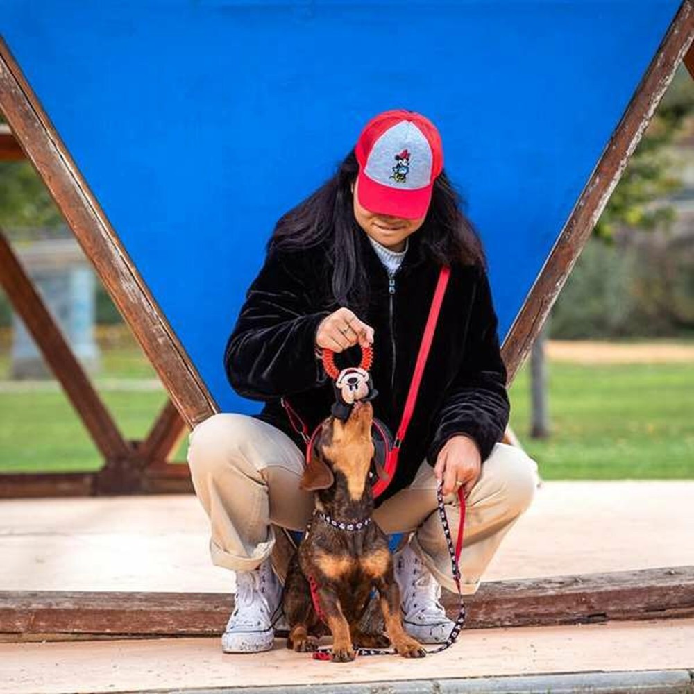 Jouet pour chien Mickey Mouse