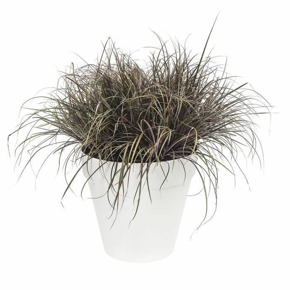 Pot Elho Blanc Ø 50 x 44 cm