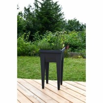 Blumentopf EDA Gemüse Pflanztisch 38,5 x 38,5 x 68 cm