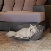 Hundebett Ferplast Siesta Deluxe 4 Dunkelgrau 61,5 x 45 x 21,5 cm