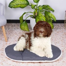 Hundebett Ferplast