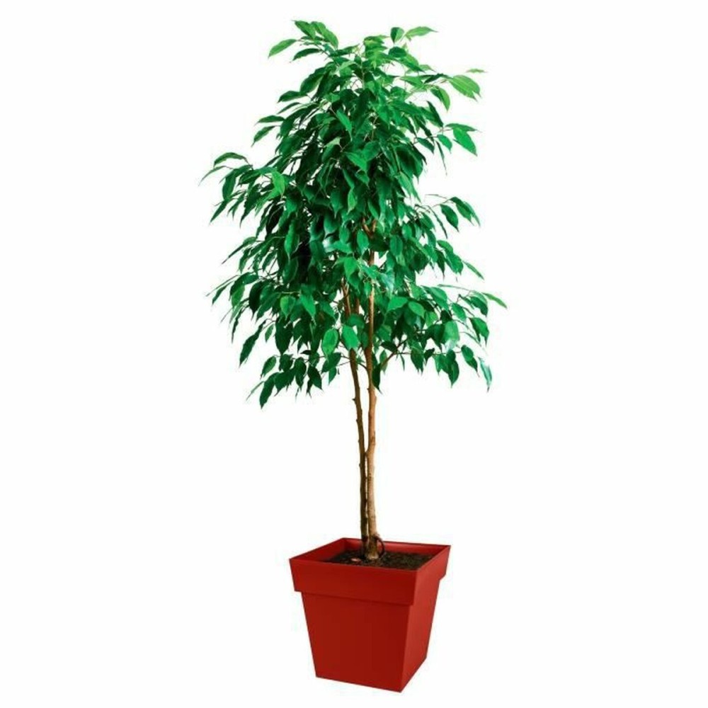 Blumentopf EDA Kunststoff 39 cm