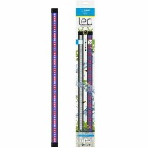 Bandes LED Marshall CIANO CLN5 8 W