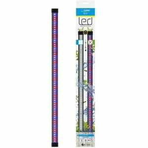 Bandes LED Marshall CIANO CLN5 8 W