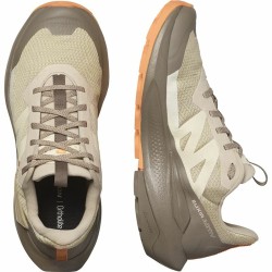 Chaussures de sport pour femme Salomon Elixir Activ