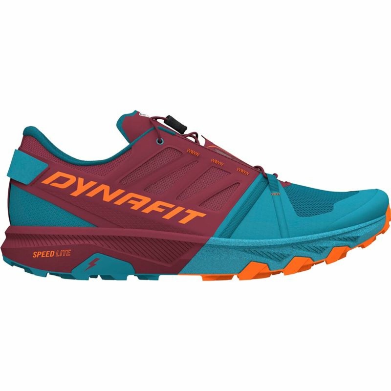 Chaussures de Sport pour Homme Salewa Dynafit Alpine Pro 2 Bleu