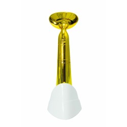 Cleansing Facial Brush Drakefor DKF-1097 Golden