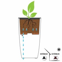 Plant pot EDA