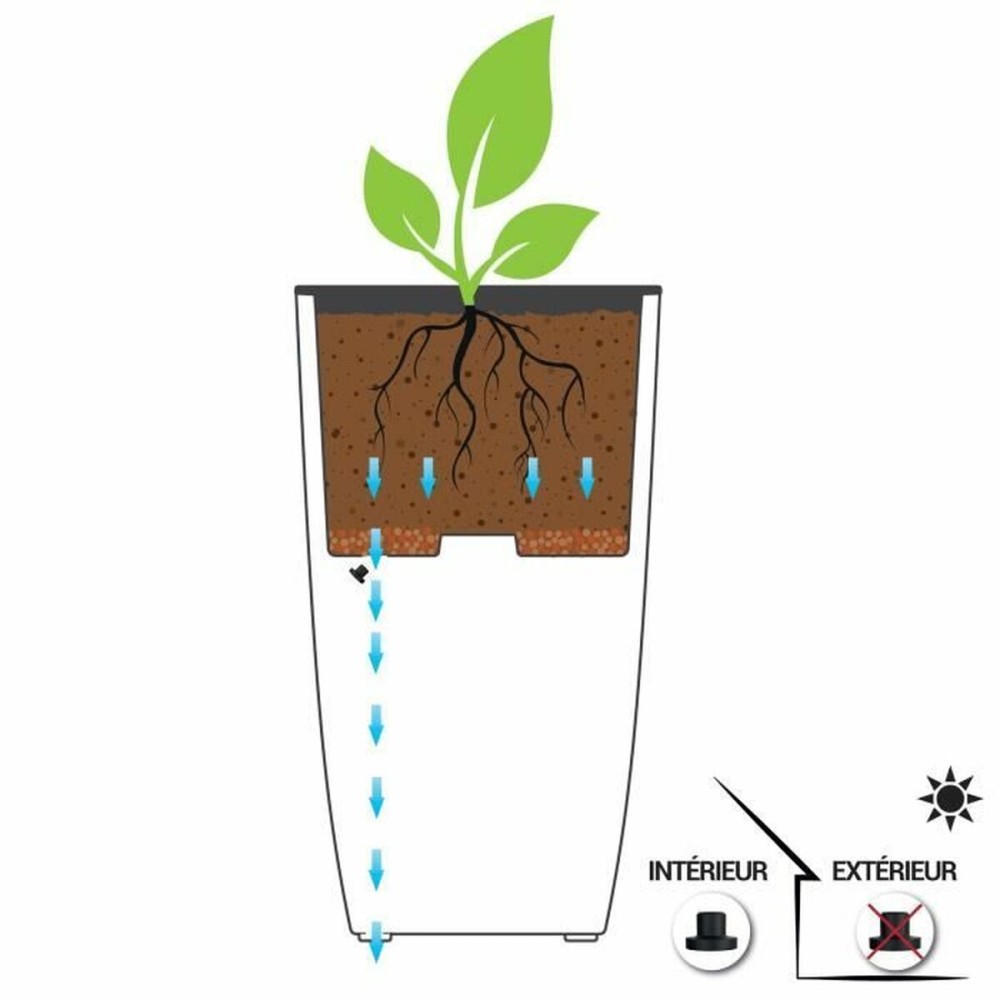 Plant pot EDA