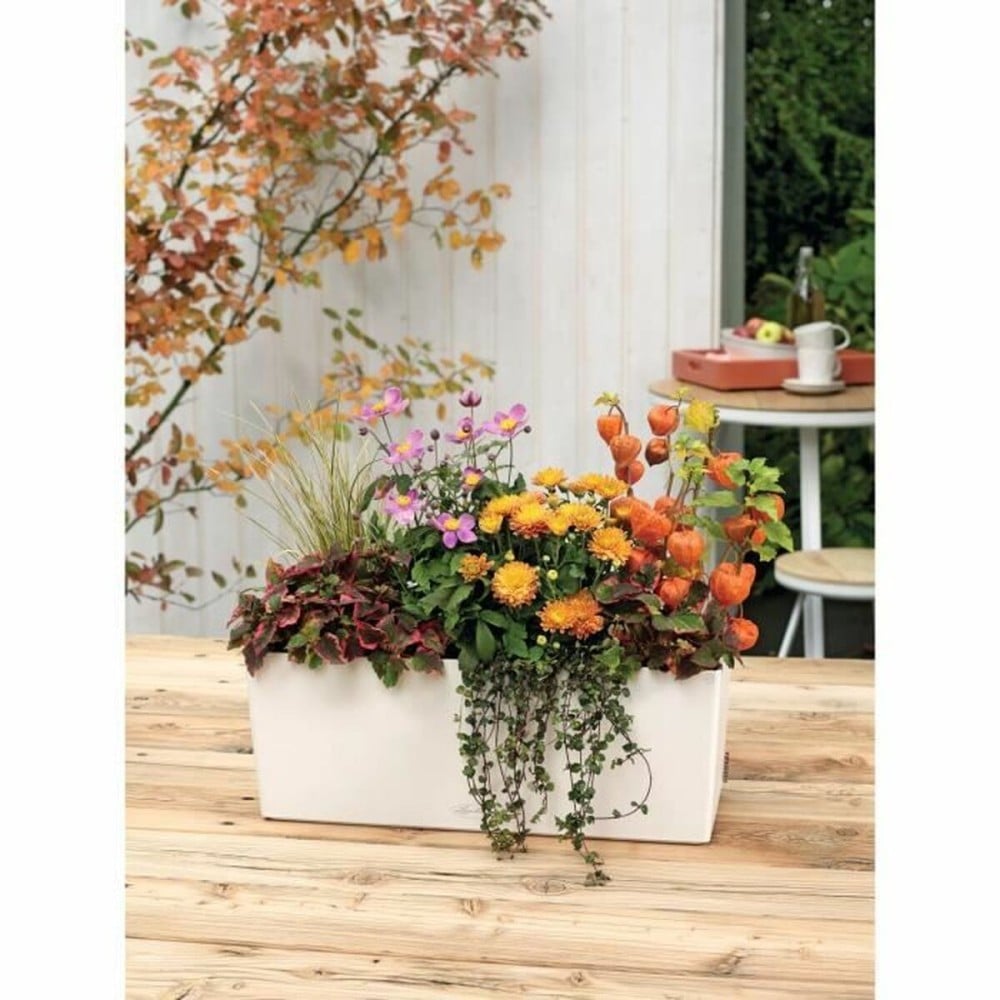 Blumentopf Lechuza Weiß Schwarz Polypropylen