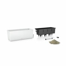 Plant pot Lechuza White Black polypropylene