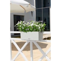 Plant pot Lechuza White Black polypropylene