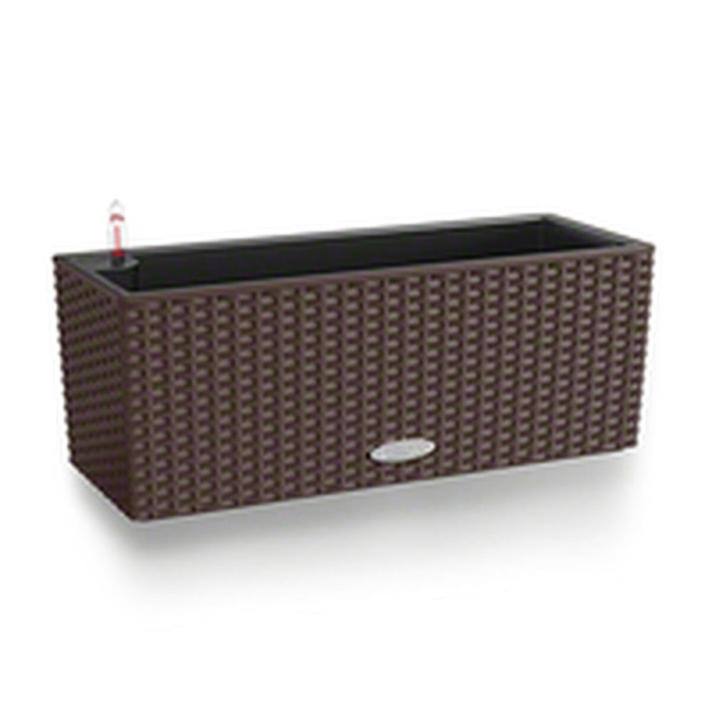 Plant pot Lechuza Brown Black polypropylene