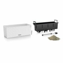Plant pot Lechuza White Black polypropylene