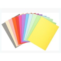 Subfolder Exacompta Forever Multicolour A4 100 Pieces (5 Units)