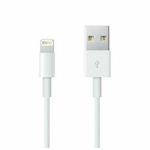 Lichtkabel Apple ME291ZM/A Weiß 50 cm (1 Stück)