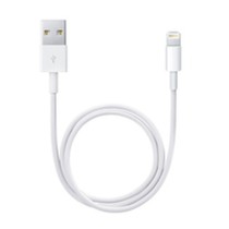 Lichtkabel Apple ME291ZM/A Weiß 50 cm (1 Stück)