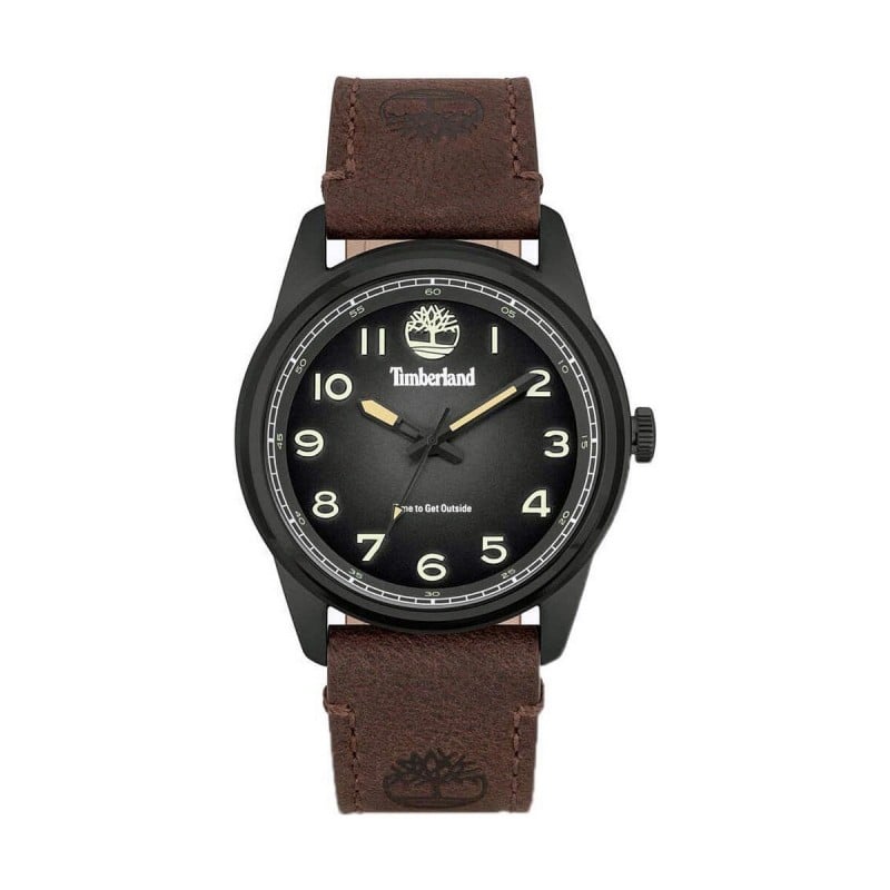 Montre Homme Timberland TDWGA2152104