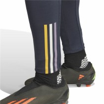 Short de Sport Adidas Real Madrid Trainning Ardoise