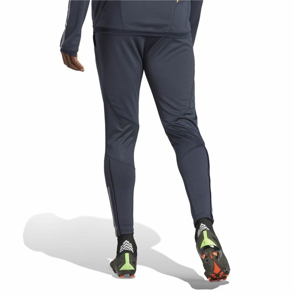 Sports Shorts Adidas Real Madrid Trainning Board