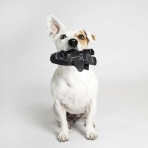 Hundespielzeug Star Wars