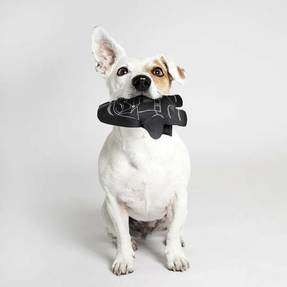 Hundespielzeug Star Wars