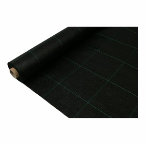 Filet contre les mauvaises herbes Fun&Go Noir 100 g/m² 2 x 100 m
