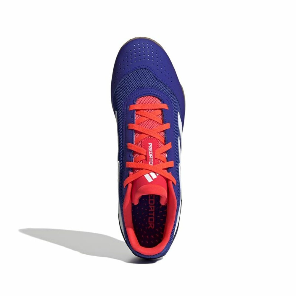 Chaussures de Futsal pour Adultes Adidas Predator Club