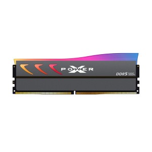 RAM Speicher Silicon Power SP064GXLWU60BFDK