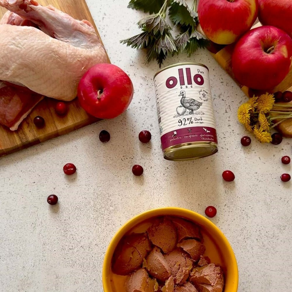 Nassfutter Ollo