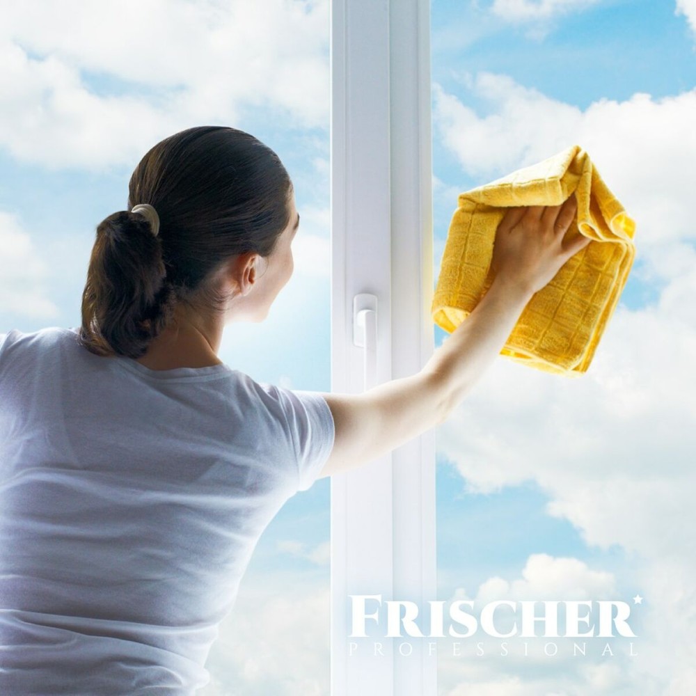 Reiniger Frischer FR00233_1000