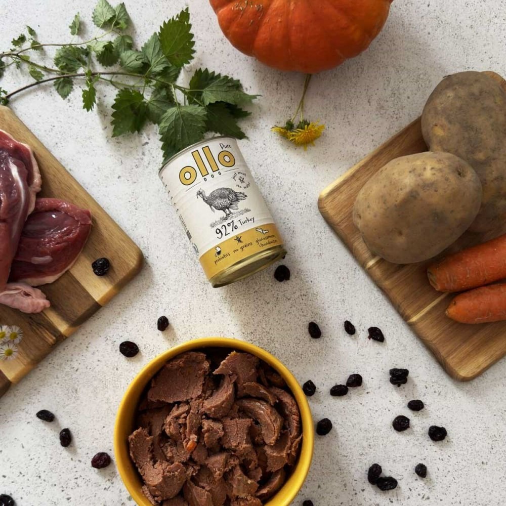 Alimentation humide Ollo