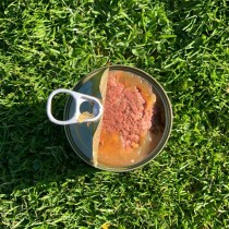 Alimentation humide Ollo