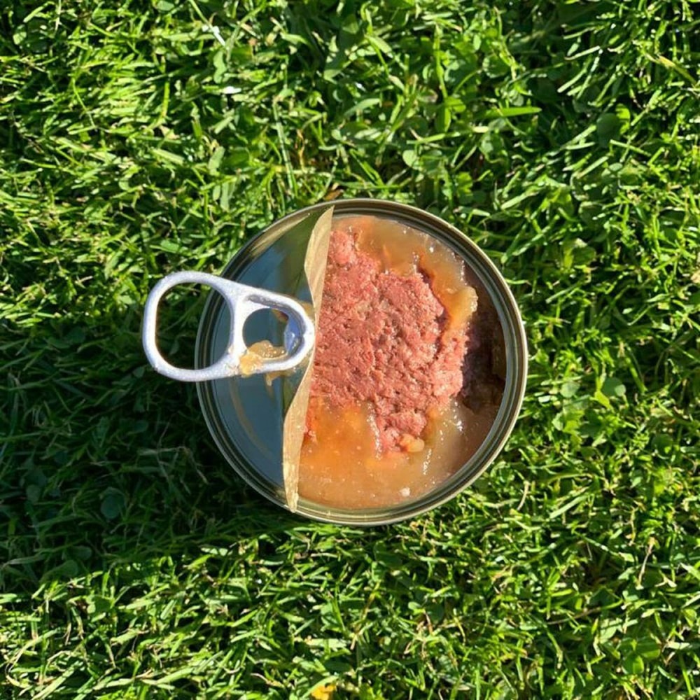 Alimentation humide Ollo