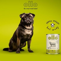 Nassfutter Ollo