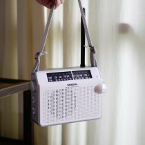 AM/FM-Radio Sangean PR-D6
