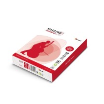 Druckerpapier Igepa 94918A80