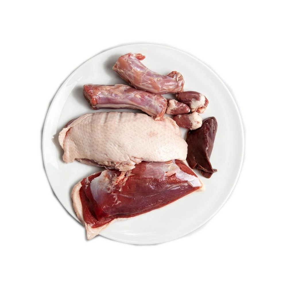 Katzenfutter 3COTY Ente 80 g