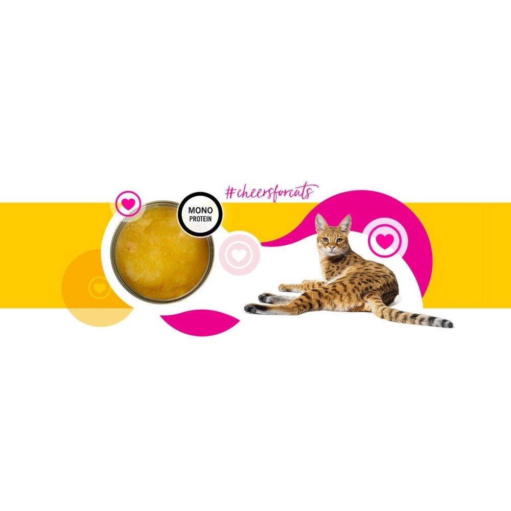 Cat food 3COTY Chicken 75 g
