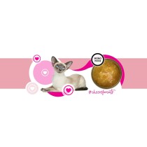 Katzenfutter 3COTY Truthahn 75 g
