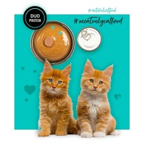 Katzenfutter 3COTY Huhn 80 g