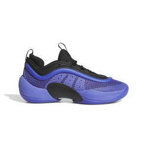 Basketball Shoes for Children Adidas D.O.N. Issue 5