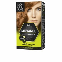 Permanent Dye Llongueras